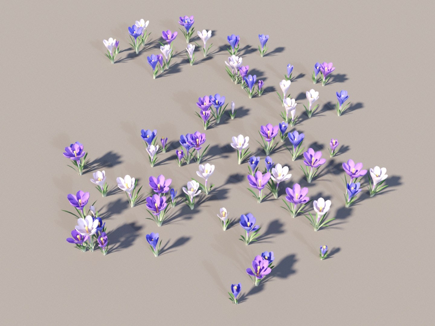 crocus plants decoration tree 3D model https://p.turbosquid.com/ts-thumb/Xa/caUgZd/H9Ccmp06/crocus_1c/jpg/1584362929/1920x1080/fit_q87/a6dcf5f29e5c9f33861c61b8ba5ec4c53170b03e/crocus_1c.jpg