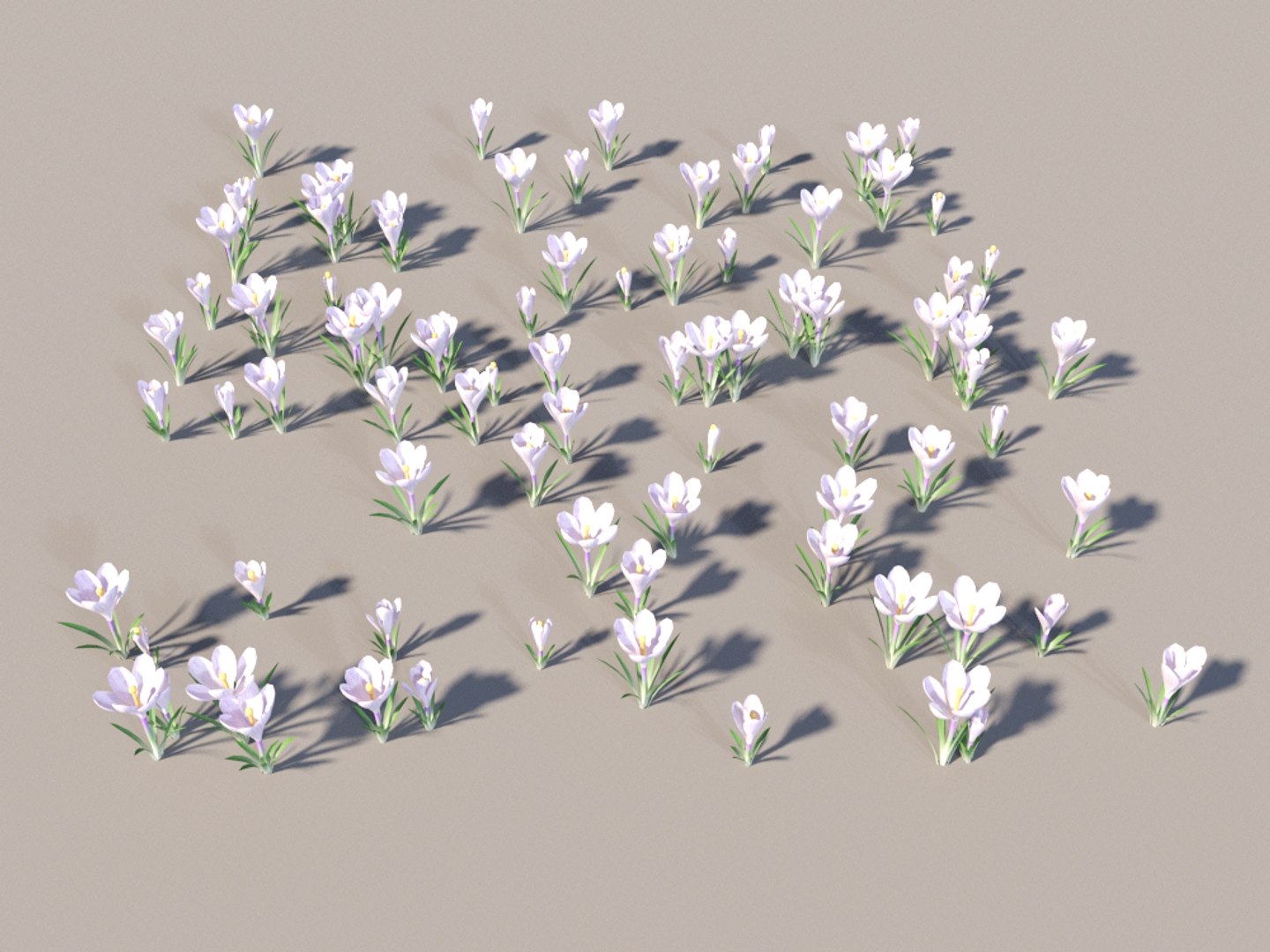crocus plants decoration tree 3D model https://p.turbosquid.com/ts-thumb/Xa/caUgZd/mW5kKdgC/crocus_1f/jpg/1584362929/1920x1080/fit_q87/fadc7b5aa15a41355a2d8d3a39d44d801894cfad/crocus_1f.jpg