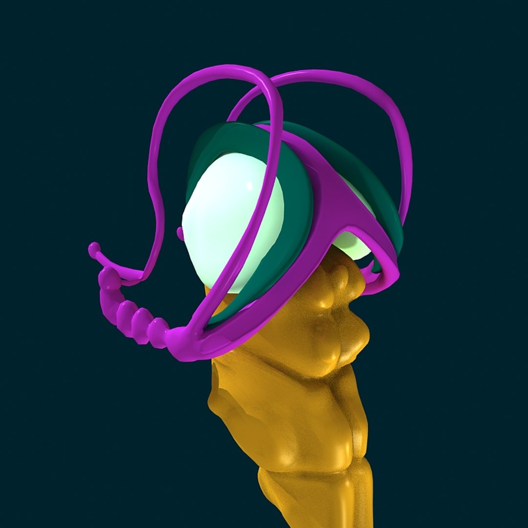 anatomy human max https://p.turbosquid.com/ts-thumb/Xa/fHAfLw/japPCPUm/anatomy_collection_render_06/jpg/1385142709/1920x1080/fit_q87/7b23b2fc3fcccbbb8971f1a404f0914af2f09749/anatomy_collection_render_06.jpg