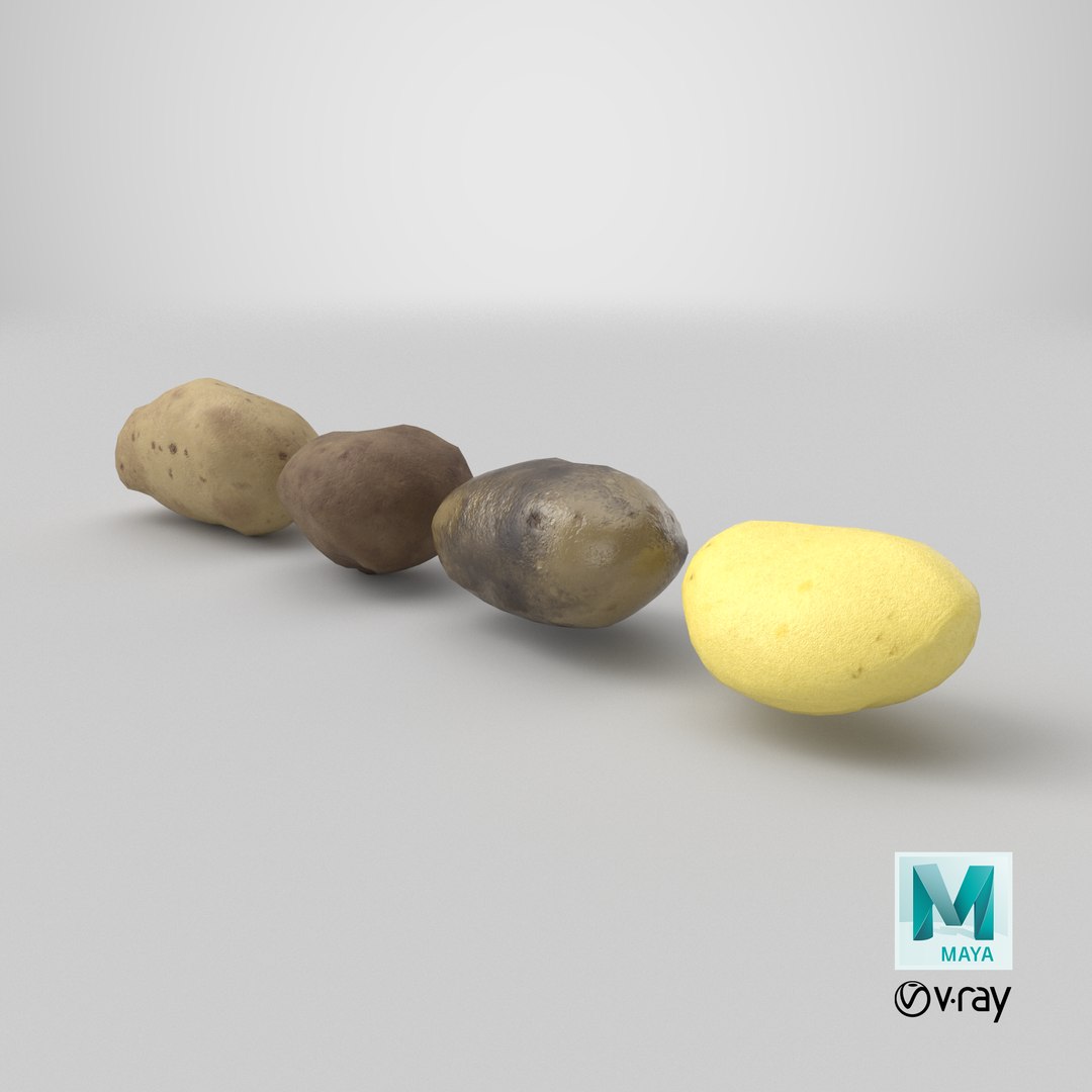 Potato 3D model https://p.turbosquid.com/ts-thumb/Xa/wFe7dj/8T/stemcell_maya_vray_render/png/1785774518/1920x1080/fit_q87/f64abcda268cab28c3757ed2784ae4850e968af1/stemcell_maya_vray_render.jpg