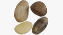 Potato