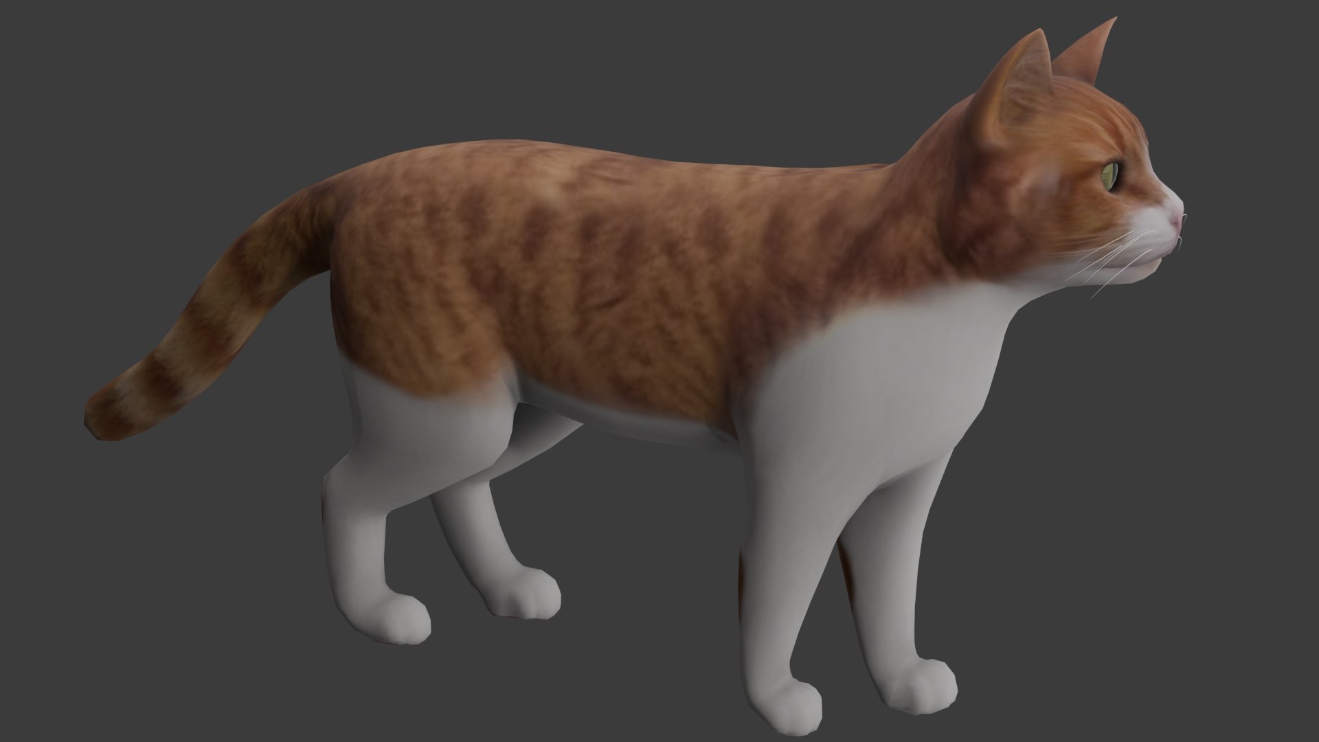 3D Cat Model - TurboSquid 2340448