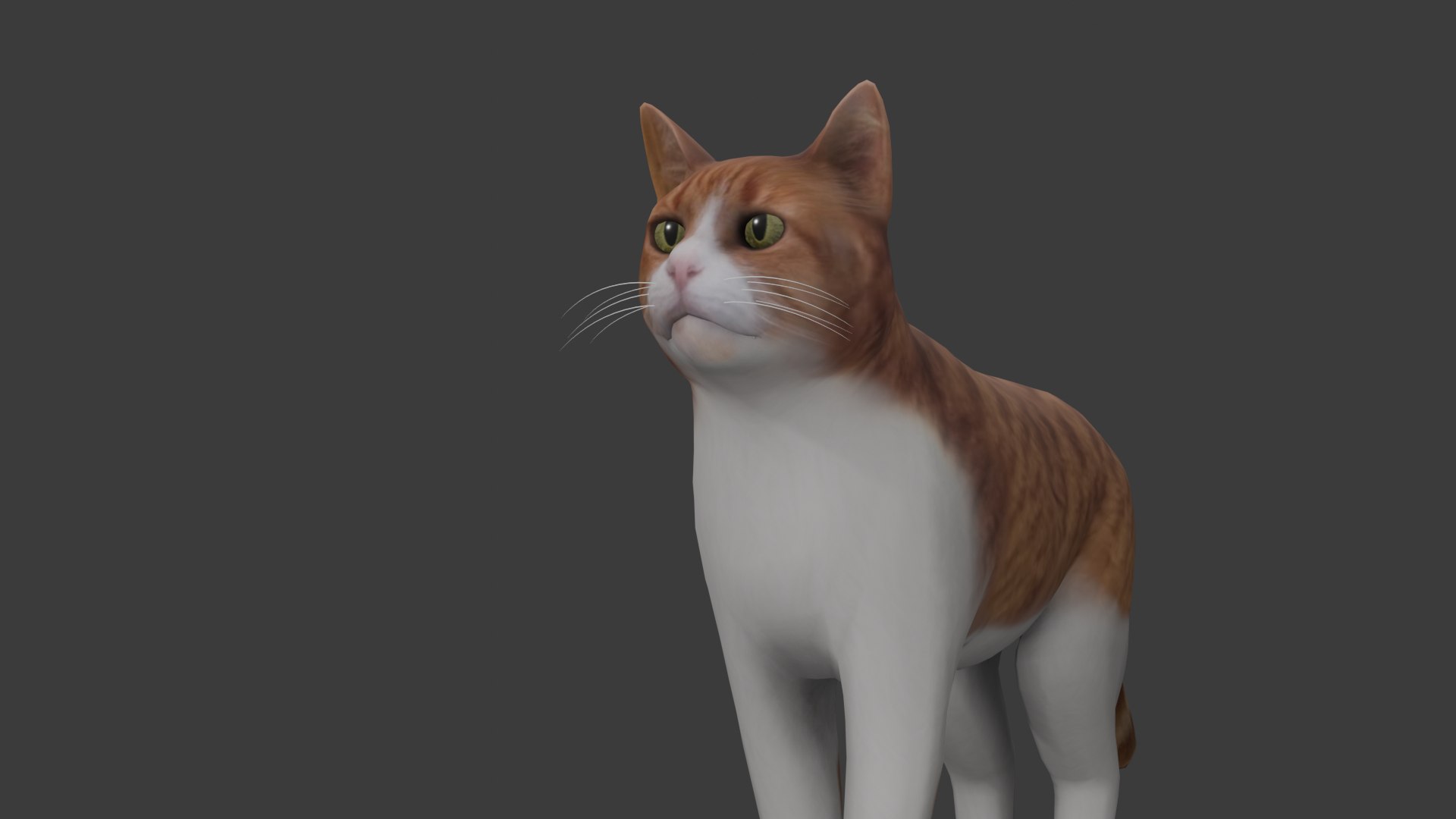 3D Cat Model - TurboSquid 2340448
