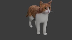 3D Cat model