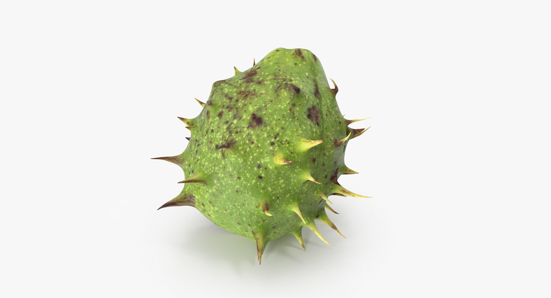 3D chestnut scan https://p.turbosquid.com/ts-thumb/Xb/GTQigr/aolOCwex/chestnut_1_06/jpg/1506201625/1920x1080/fit_q87/c3a11acd9932a735767b928530c8da7673ce99b2/chestnut_1_06.jpg