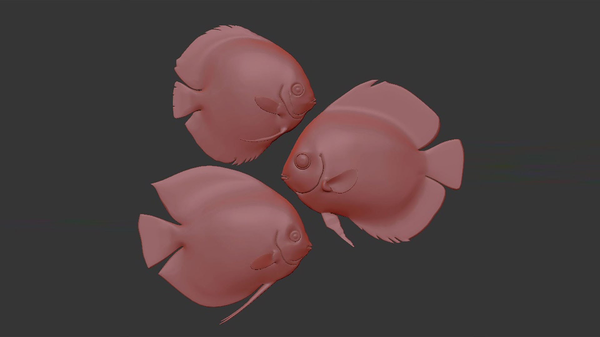 Discus Fish Model - TurboSquid 1740649