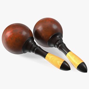 Maracas Musical Instrument