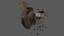 Acoustic Drum Kit