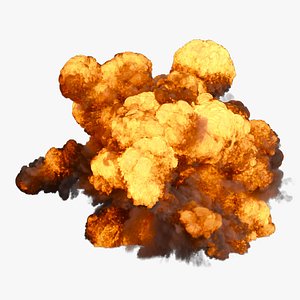 Big Aerial Explosion in 300 frames - 89M voxels - VDB Model