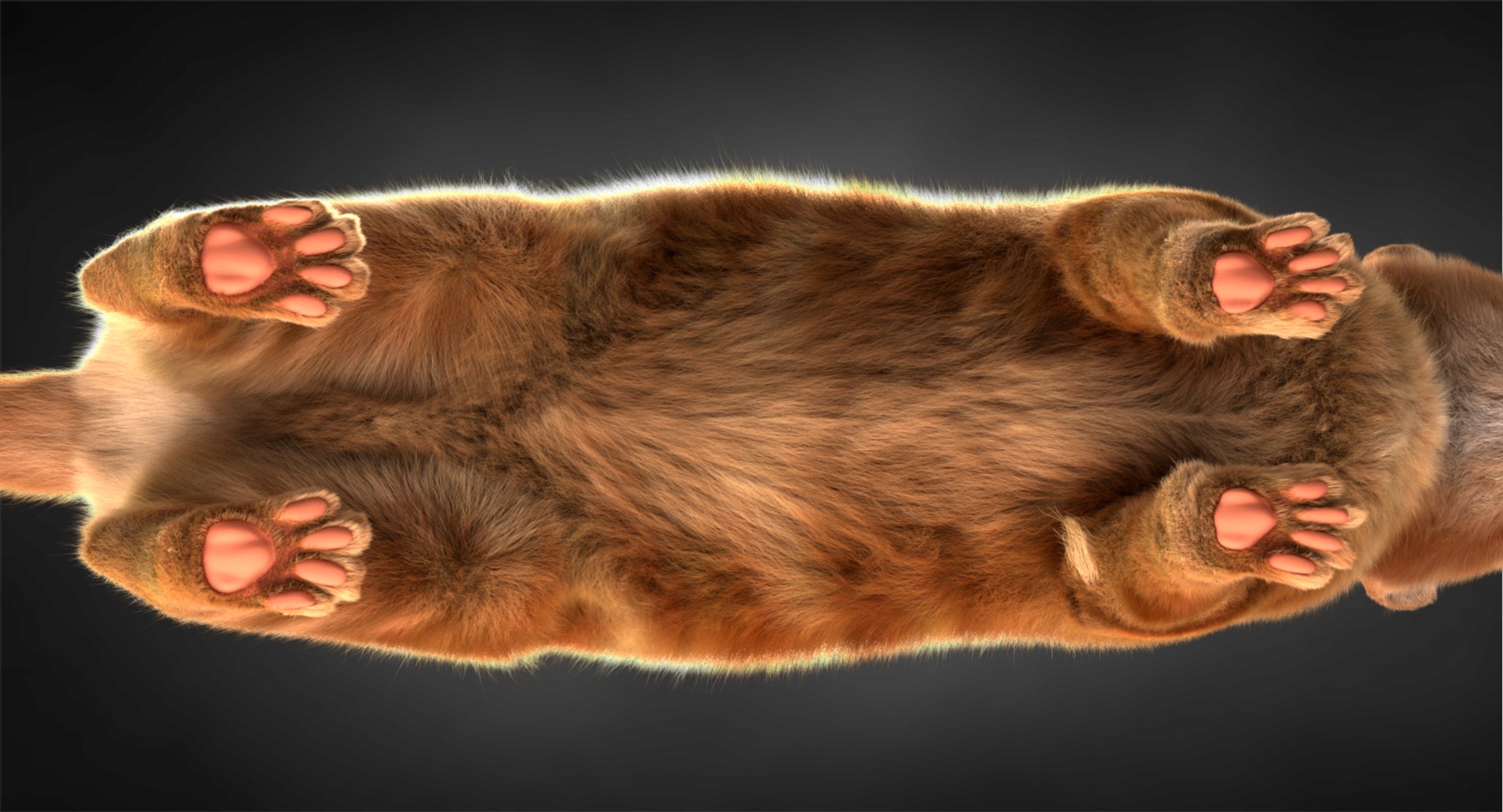 3D ginger cat hair model https://p.turbosquid.com/ts-thumb/Xc/0uqzwy/7nNPETHF/11/png/1533787509/1920x1080/fit_q87/4fe5291134c236c2f6413232942e9615c22a3dbe/11.jpg