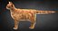 Cat Ginger v1