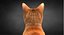 Cat Ginger v1