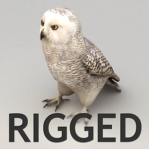 max rigged snow owl