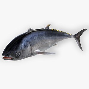 TUNA FISH Rigged  L1551 3D