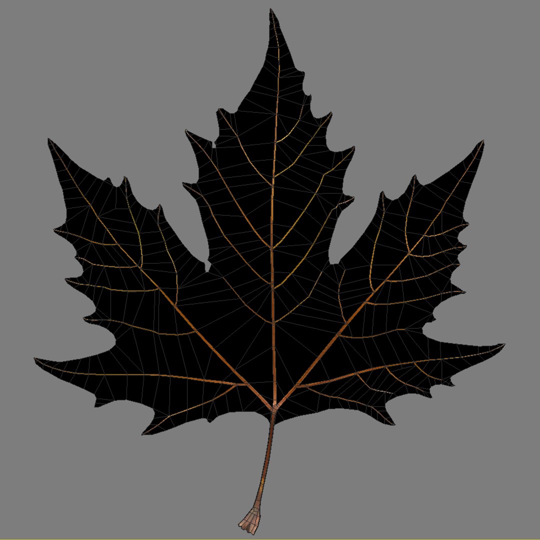 3d realistic autumn maple leaf https://p.turbosquid.com/ts-thumb/Xc/9ngNZD/OwxWxxOm/leaf_maple5_mesh_2/jpg/1319713828/1920x1080/fit_q87/47924198d92c9c846d4f3b3e49c2700d66cb5eb1/leaf_maple5_mesh_2.jpg
