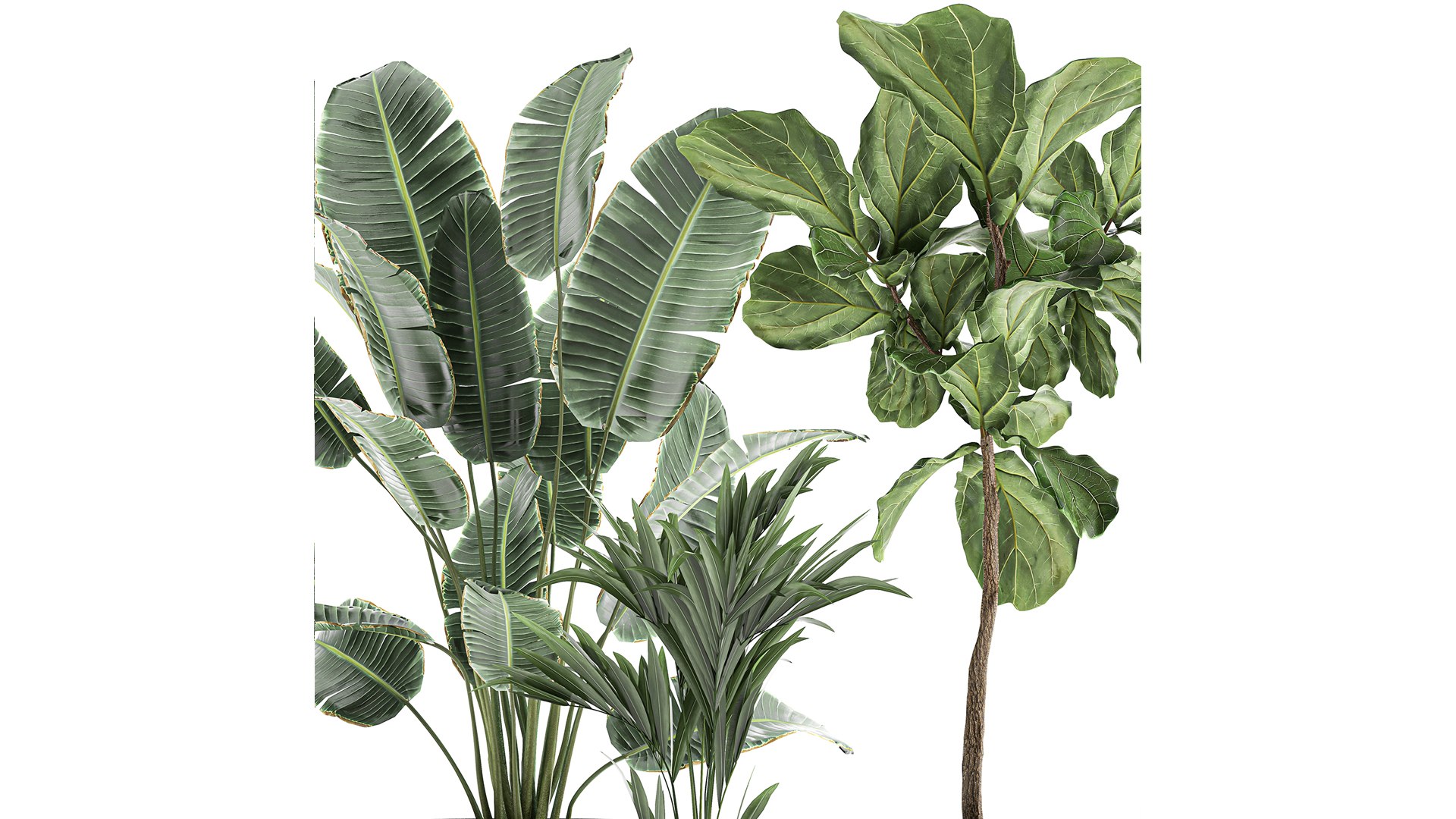 plants flowerpot 3D https://p.turbosquid.com/ts-thumb/Xc/EvZgTD/1w/1plants30402202103/jpg/1612518678/1920x1080/fit_q87/a439f73dac222db56f90fb56052dbe8fcad50e6d/1plants30402202103.jpg
