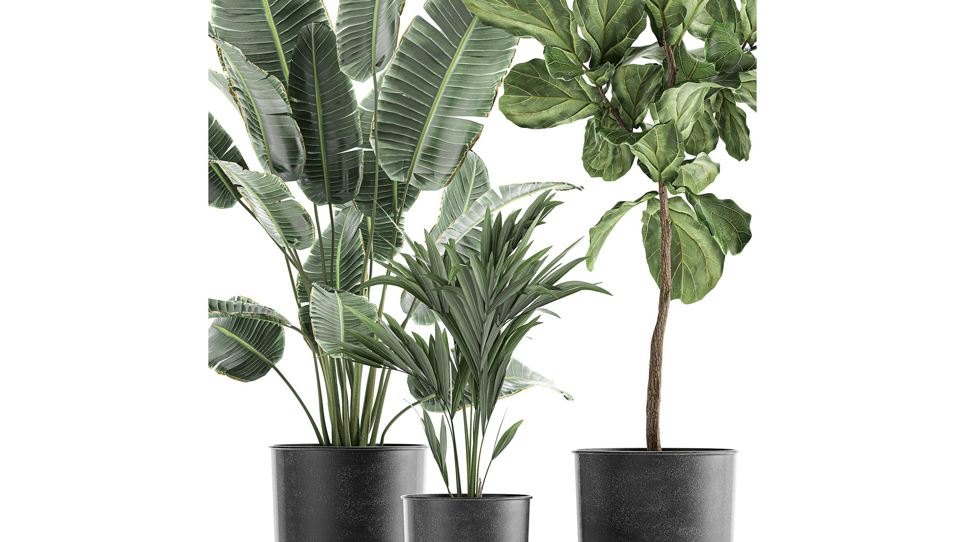 plants flowerpot 3D https://p.turbosquid.com/ts-thumb/Xc/EvZgTD/8Q/1plants30402202102/jpg/1612518678/1920x1080/fit_q87/2c639c26e093baaa59990a893e775ee7b0df3701/1plants30402202102.jpg
