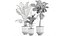 Plantas decorativas en macetas 832