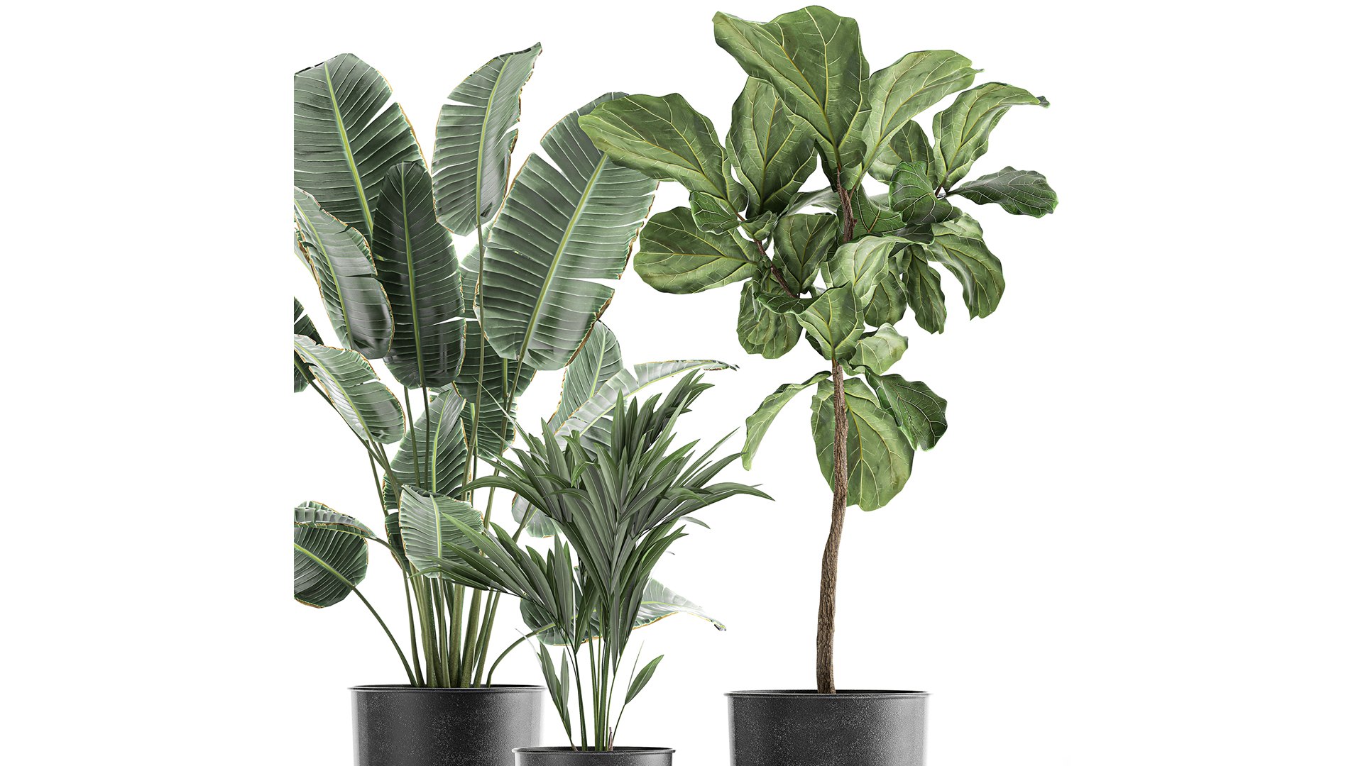 plants flowerpot 3D https://p.turbosquid.com/ts-thumb/Xc/EvZgTD/zb/1plants30402202104/jpg/1612518679/1920x1080/fit_q87/cb1d6294c6d9180c64942d2be1780d7ade14ee39/1plants30402202104.jpg