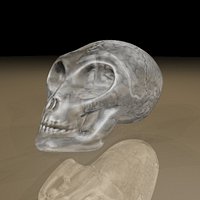 3D glass alien skull and brain