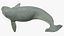 3D marine mammals rigged 4