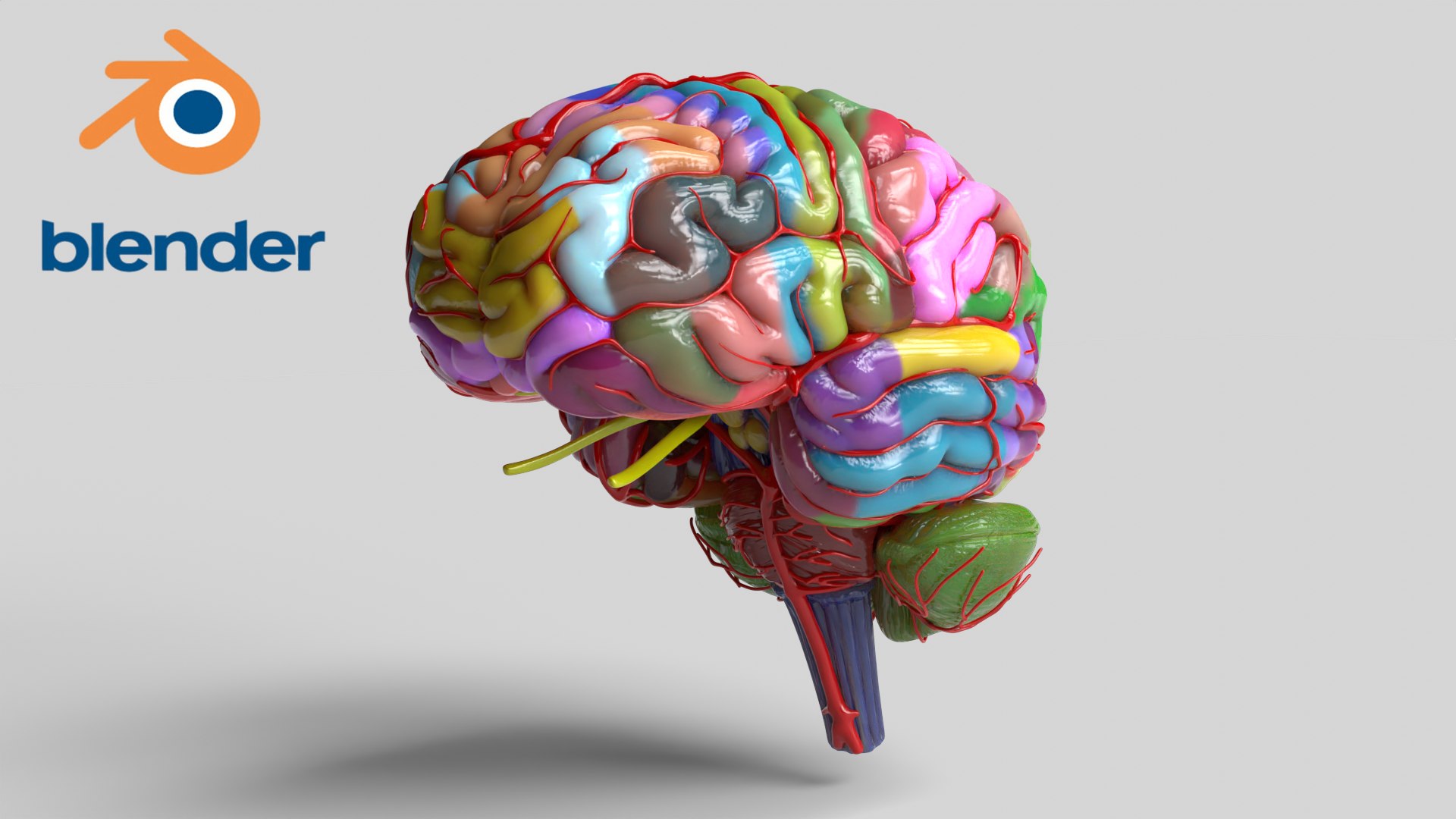 3D Brain Schematic Model - TurboSquid 2150660