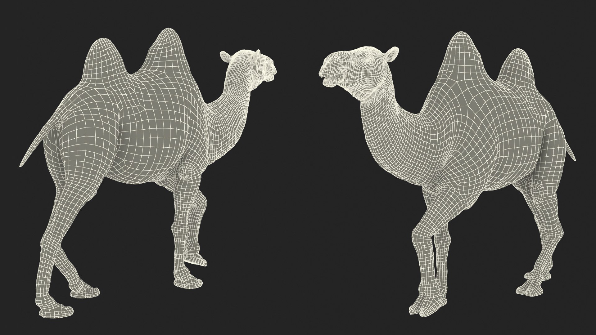 3D Bactrian Camel Walking Pose Fur https://p.turbosquid.com/ts-thumb/Xc/gLFw76/M9/bactriancamelwalkingposefurvray3dmodel025/jpg/1724725844/1920x1080/fit_q87/b45883e7a259452f73d9aada4aa7a4b4c969345d/bactriancamelwalkingposefurvray3dmodel025.jpg