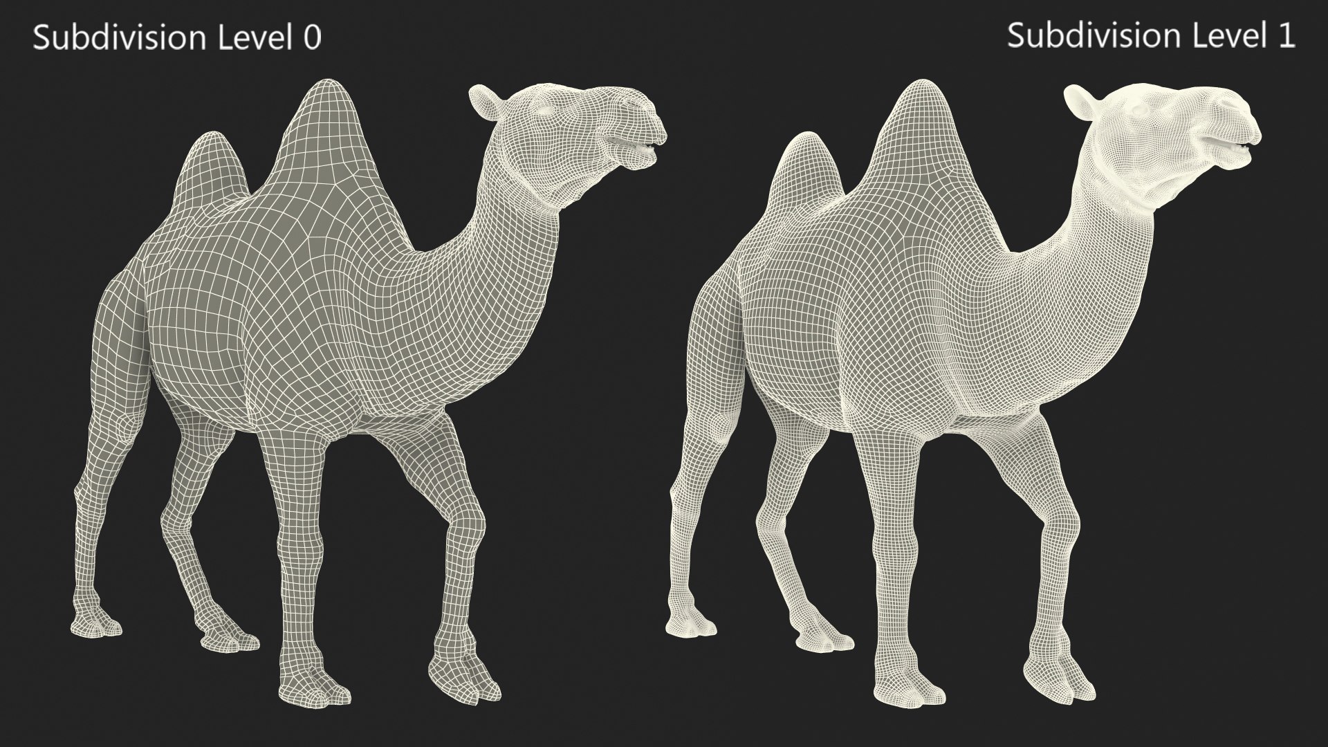 3D Bactrian Camel Walking Pose Fur https://p.turbosquid.com/ts-thumb/Xc/gLFw76/Xr/bactriancamelwalkingposefurvray3dmodel021/jpg/1724725828/1920x1080/fit_q87/e58fa3b75f3597c92910c3083bc8a367c999d0a2/bactriancamelwalkingposefurvray3dmodel021.jpg