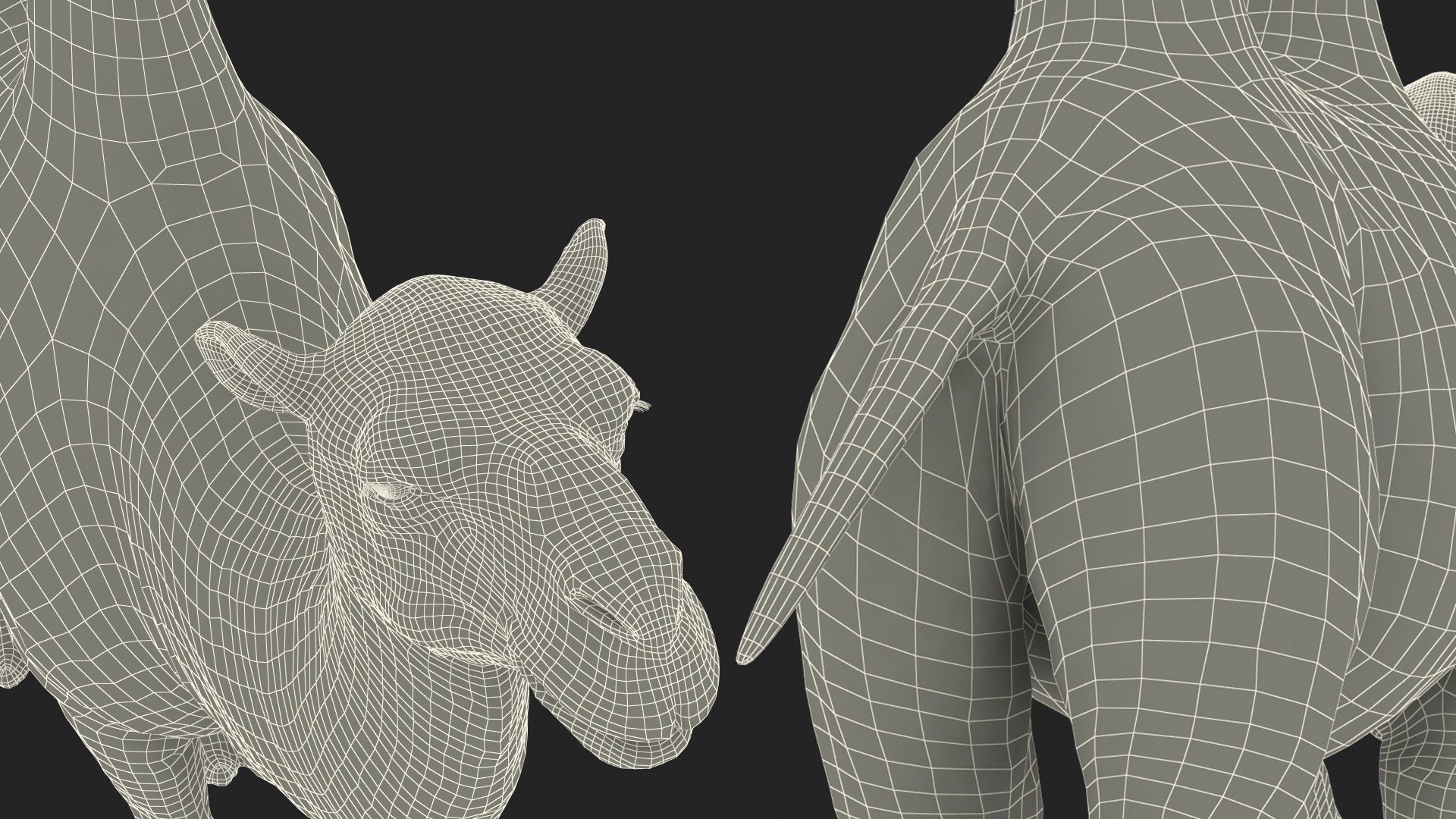 3D Bactrian Camel Walking Pose Fur https://p.turbosquid.com/ts-thumb/Xc/gLFw76/Yj/bactriancamelwalkingposefurvray3dmodel028/jpg/1724725855/1920x1080/fit_q87/12d2d44b5b5ffeedd5eb77a360ff660021c31722/bactriancamelwalkingposefurvray3dmodel028.jpg