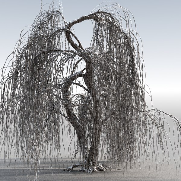 3d tree weeping willow