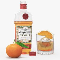 Tanqueray Sevilla Gin with Cocktail and Orange