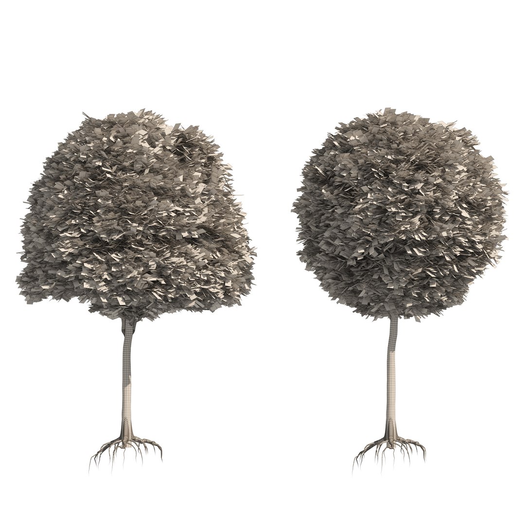 2 round and dome topiary tree model https://p.turbosquid.com/ts-thumb/Xc/r3EL4M/xK/wire03/jpg/1655768534/1920x1080/fit_q87/7660ffdf4cbb04fc336a961613f87cf71c613be9/wire03.jpg