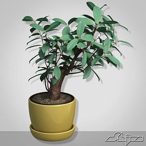 3d model vase bush