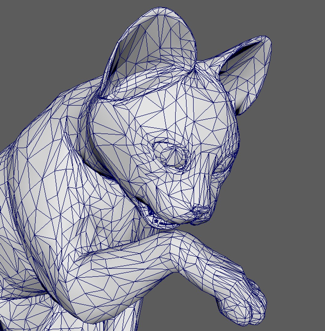 cat animal 3D model https://p.turbosquid.com/ts-thumb/Xd/5UkVNd/ETo8UDwZ/cat9/png/1525111660/1920x1080/fit_q87/810687972c2a49deccb774370b3417c6d0e3f87c/cat9.jpg