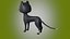 Desenho de gato lowpoly