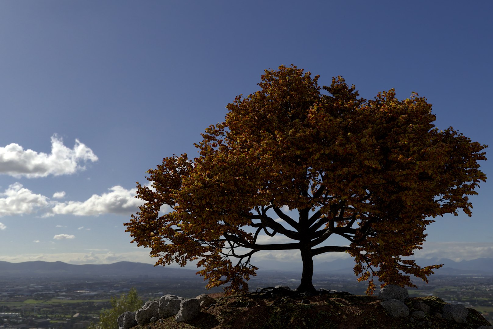 3D Oak Autumn 2 Tree - TurboSquid 1376491