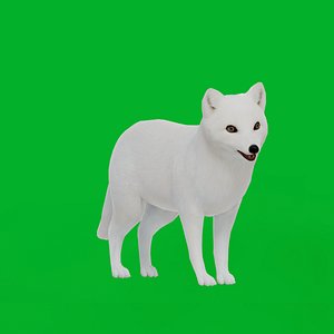 Arctic Fox 3D model