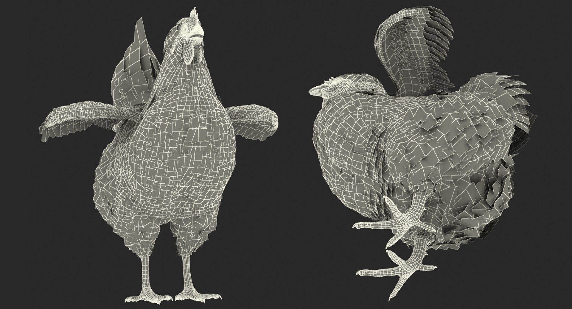 3d white chicken model