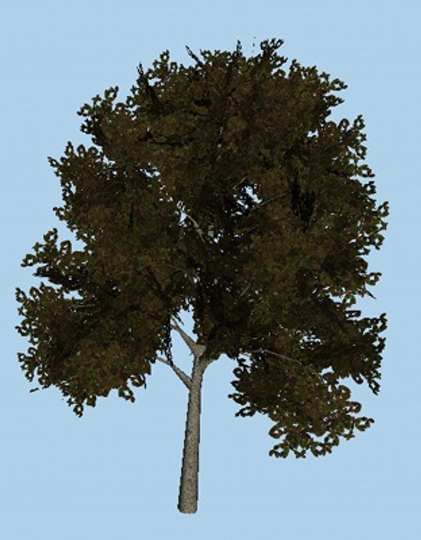 Obj Tree Colored