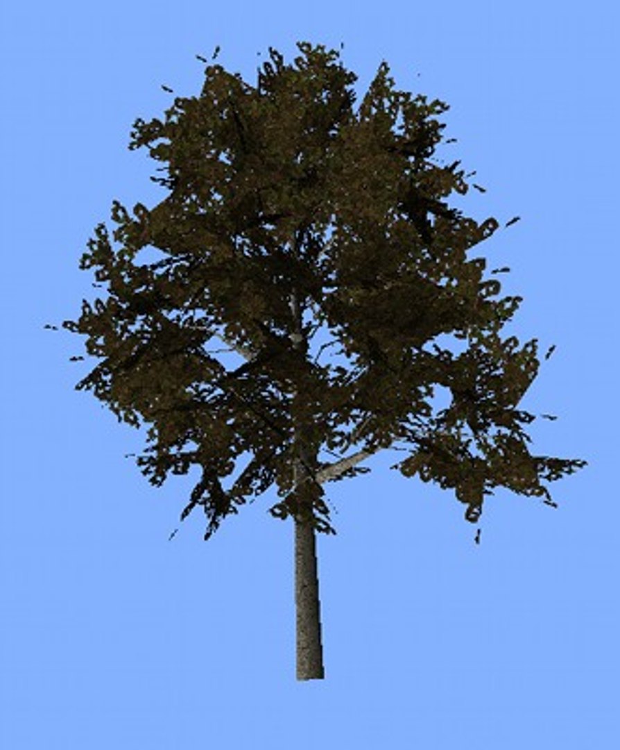 Obj Tree Colored