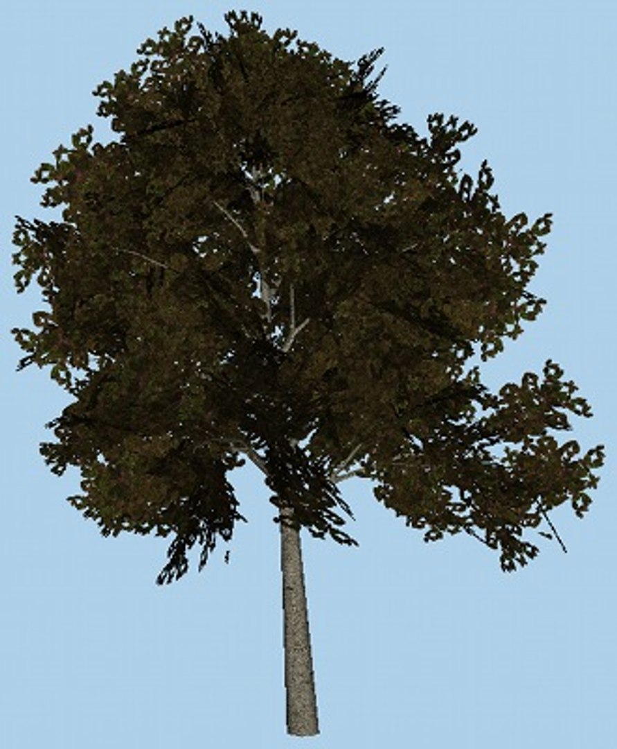 Obj Tree Colored