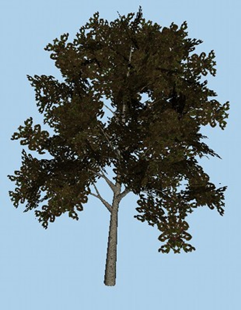 Obj Tree Colored