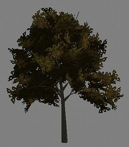 Color Tree