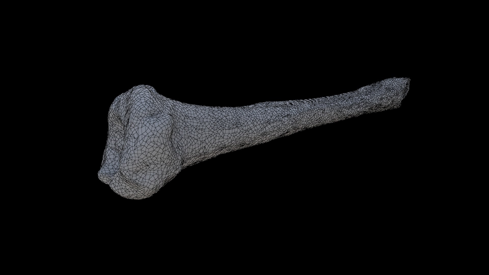 3D Bone - TurboSquid 2325660