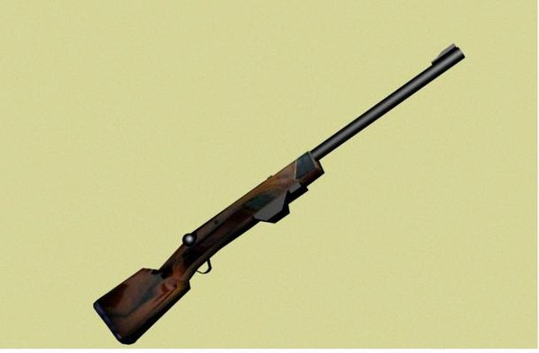 3d rifle