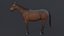 3D horse brown model