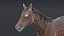 3D horse brown model