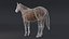3D horse brown model