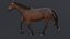 3D horse brown model