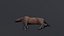 3D horse brown model